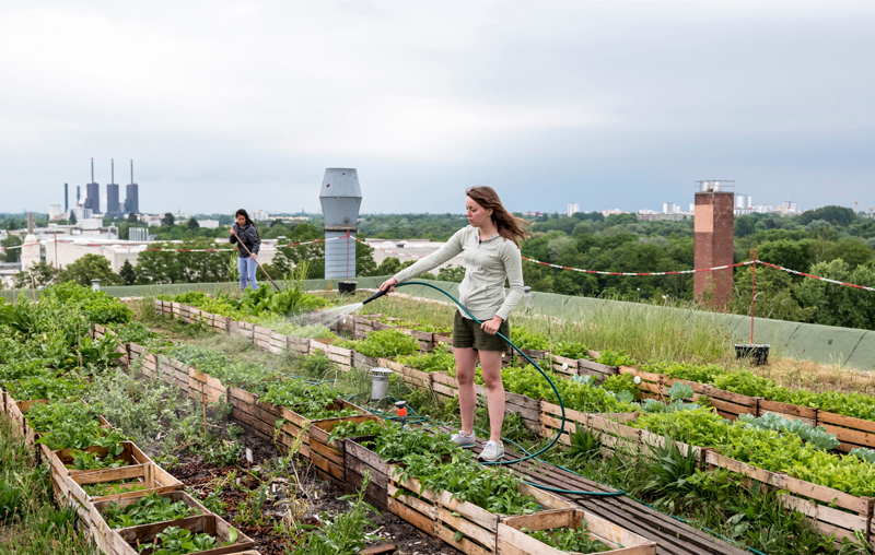 The new green: Cities become oases-4