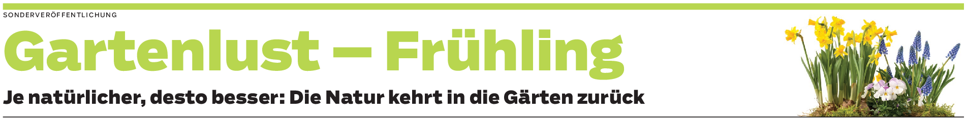 Kunterbunte Wildnis