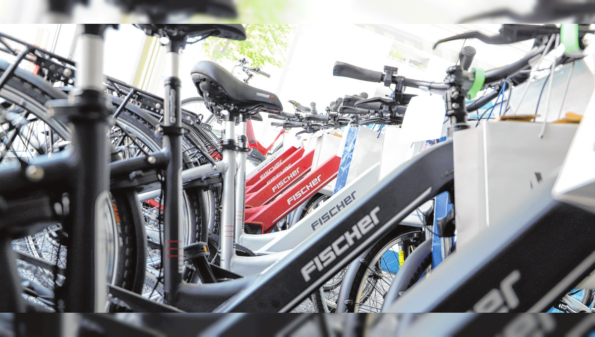 E-Bike-Verkauf Fischer in Landau in der Pfalz: Für jeden das passende E-Bike