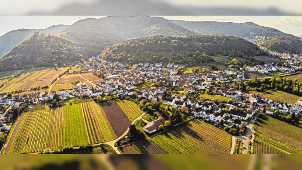 Weingüter aus Hambach und Diedesfeld stellen sich am 13. und 14. Mai vor: "Zum Wohl" - die Pfalz