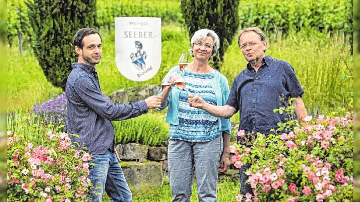 Der ökologische Weinbau ist für Familie Seeber eine Lebenseinstellung. Bild: Weingut Seeber