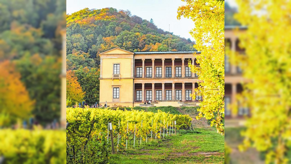 Schloss Villa Ludwigshöhe ist Startpunkt der Rietburgbahn in Edenkoben. Bild: stock.adobe.com - Oskar