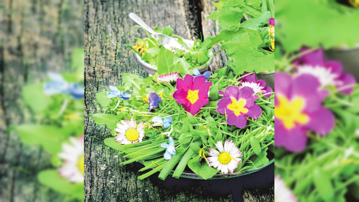 Essbare Blüten sind eine ausgefallene Deko für Salate, Suppen und Desserts. Bild: fotoknips/stock.adobe.com/Kiepenkerl/akz-o