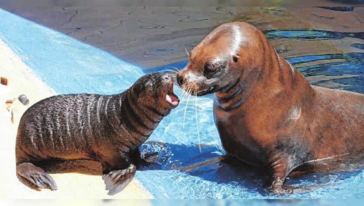 Auf Entdeckungstour im Zoo Heidelberg