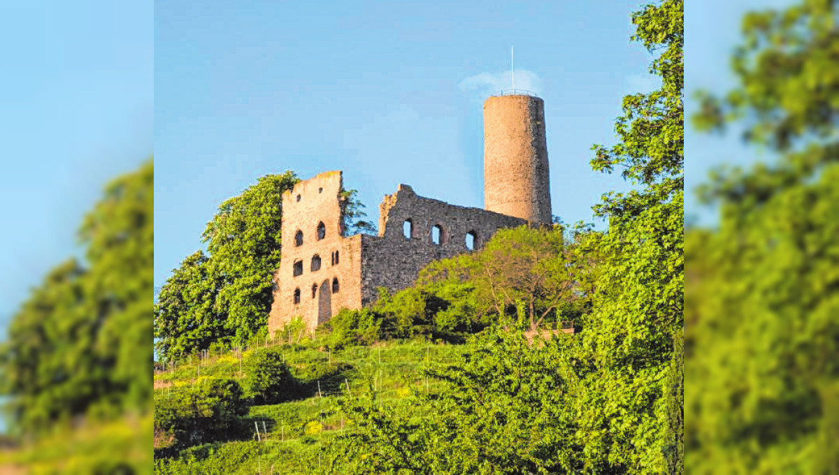 Weinbau auf rund 100 Hektar