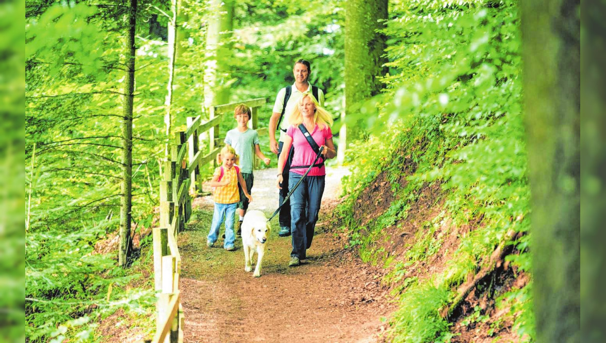 Mit den Kindern etwas erleben 