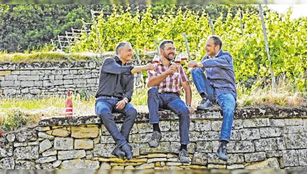 Vier Jahreszeiten Winzer in Bad Dürkheim: Beste Qualität ist das Ziel