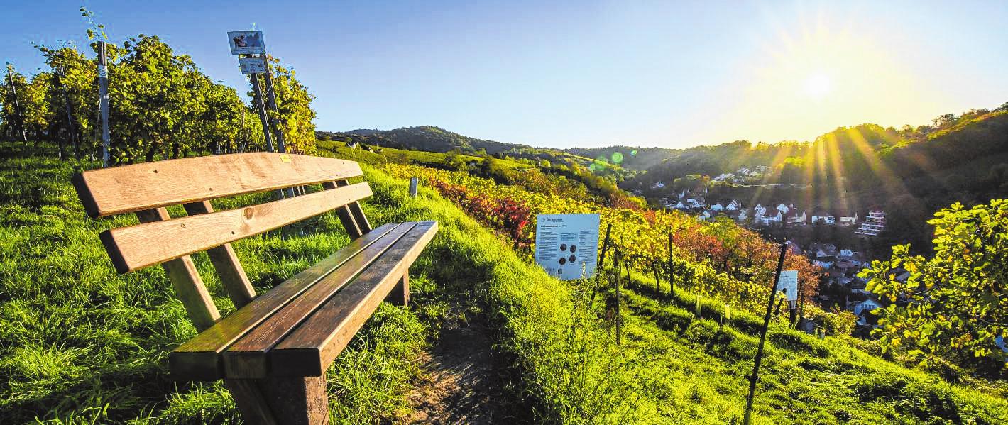 Weinwandern an der Bergstraße: Weinblickweg & Heppenheimer Weinlagenwanderweg