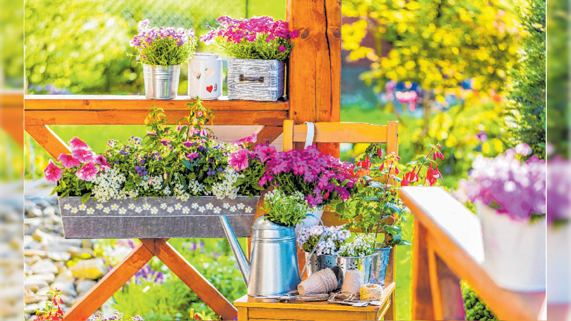 Für Blumen findet sich überall ein Plätzchen. SCHMUCKBILD: IMARZI - STOCK.ADOBE.COM