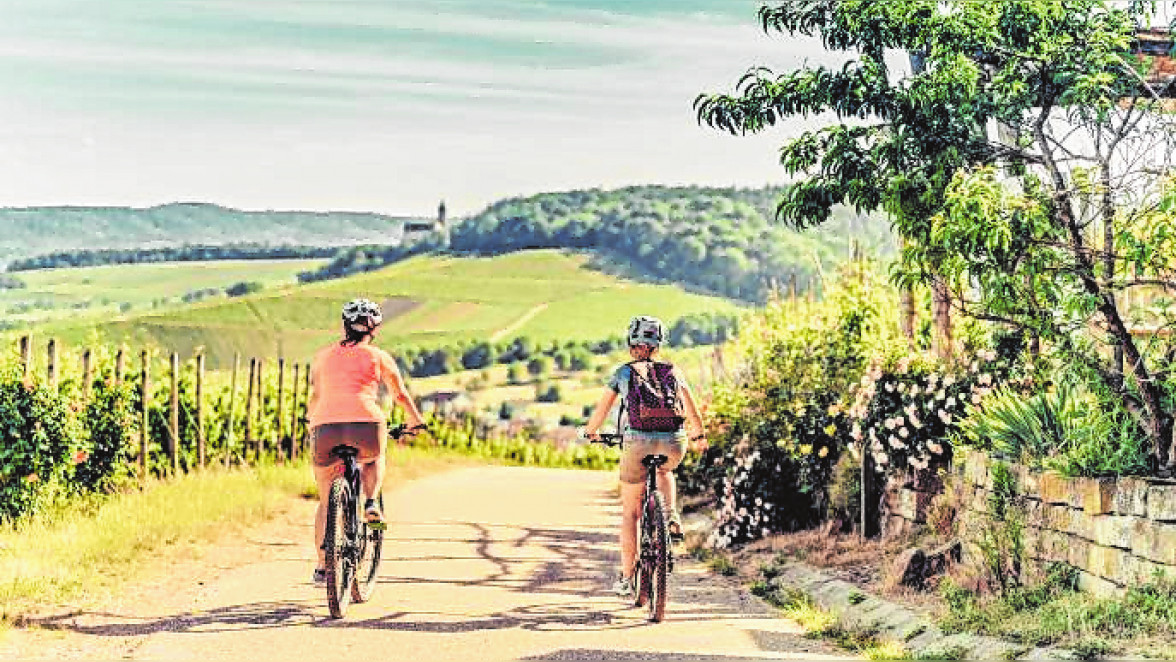Die Württemberger Weinlandschaft lockt zu Fahrradausflügen ins Freie. Bild: djd/Touristikgemeinschaft HeilbronnerLand/Chris Frumolt