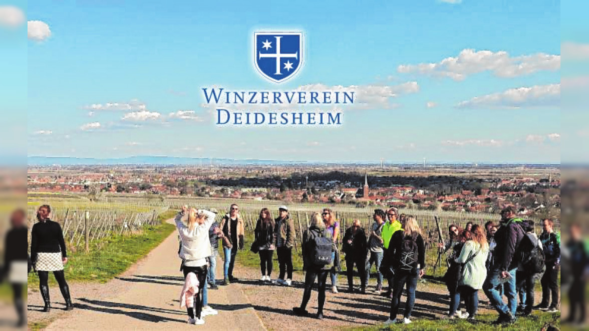 Weinwanderung mit dem Winzerverein Deidesheim. Bild: Winzerverein Deidesheim