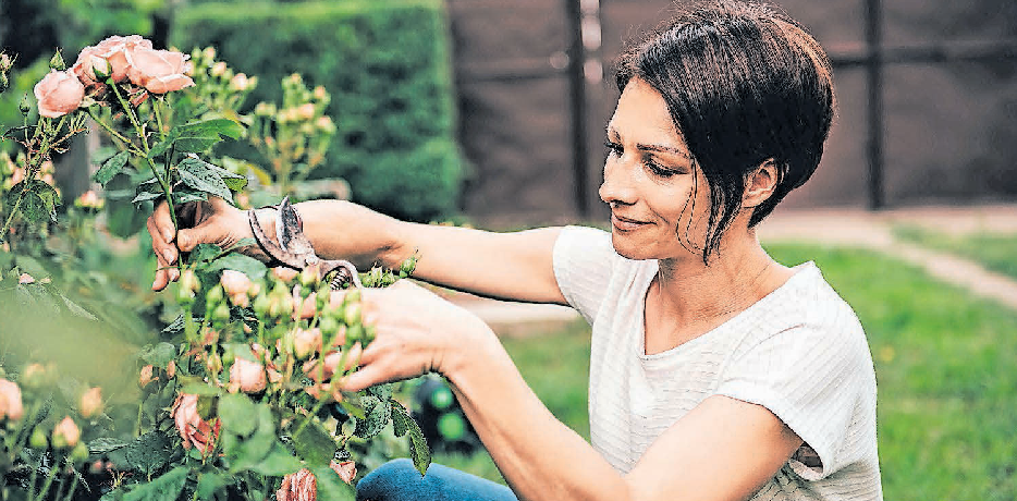 Tipps für Vorbereitung des Gartens: Endlich geht es wieder los