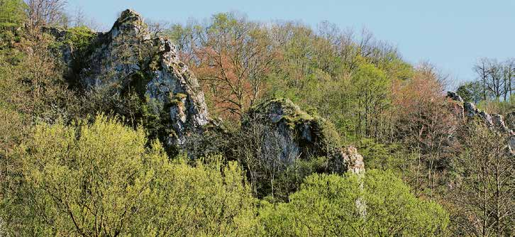Besichtigung : Die Avouerie in Anthisnes