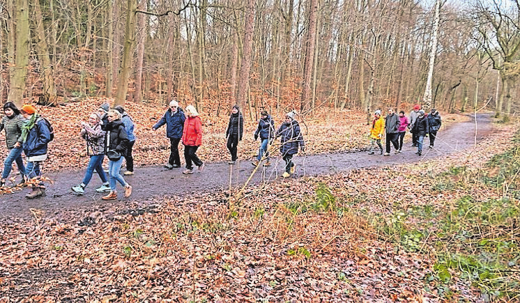 Eifelverein Eschweiler: Gesundheitswandern