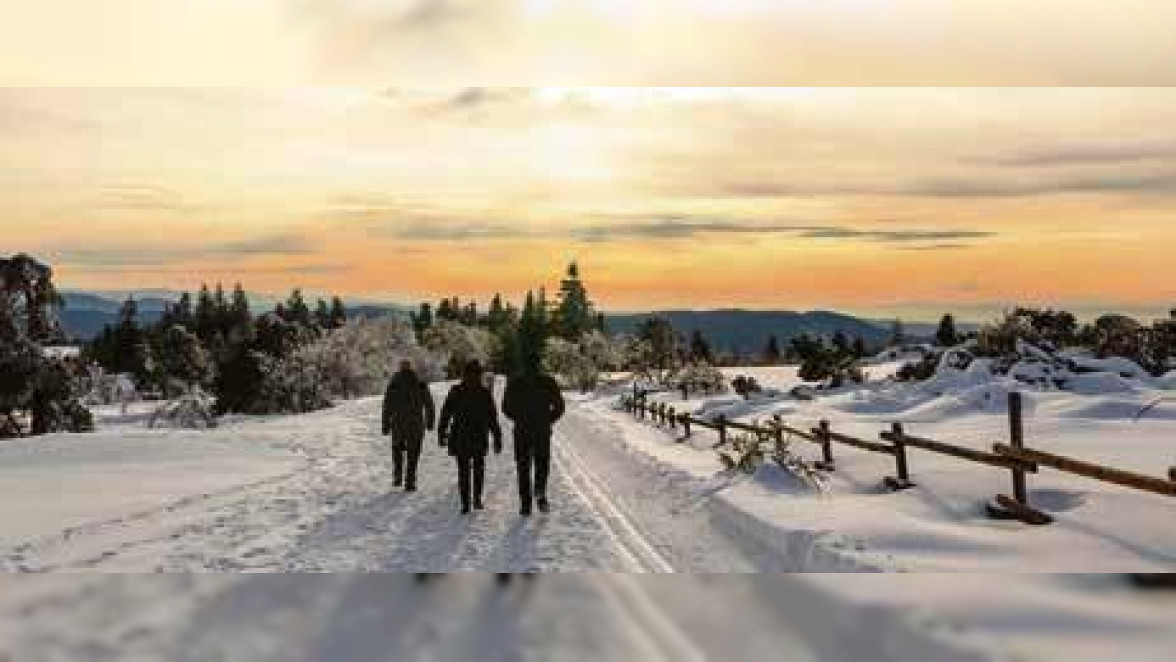 Ob alleine oder mit der Familie – Spazierengehen im Schnee beruhigt die Seele und sorgt für Entspannung. Foto: Corri Seizinger – stock.adobe.com