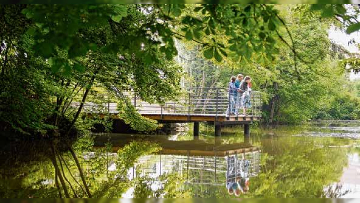 Ulrichsweiher im Kneipp-Aktiv-Park