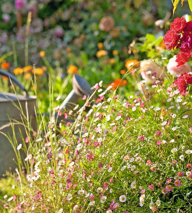 Wichtige Helfer für Ihren Garten-4