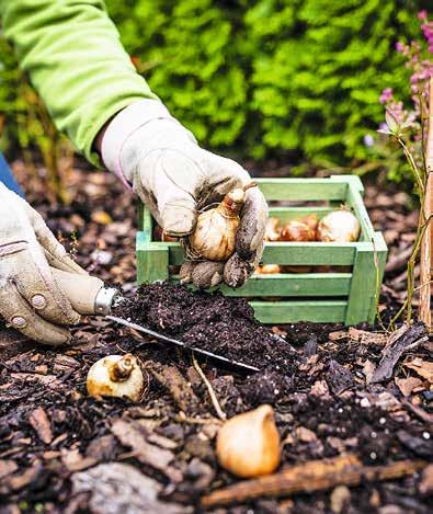 Wichtige Helfer für Ihren Garten-3