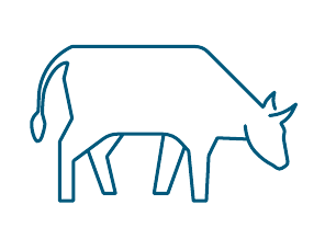 Allgäu – der Wirtschaftsstandort-3