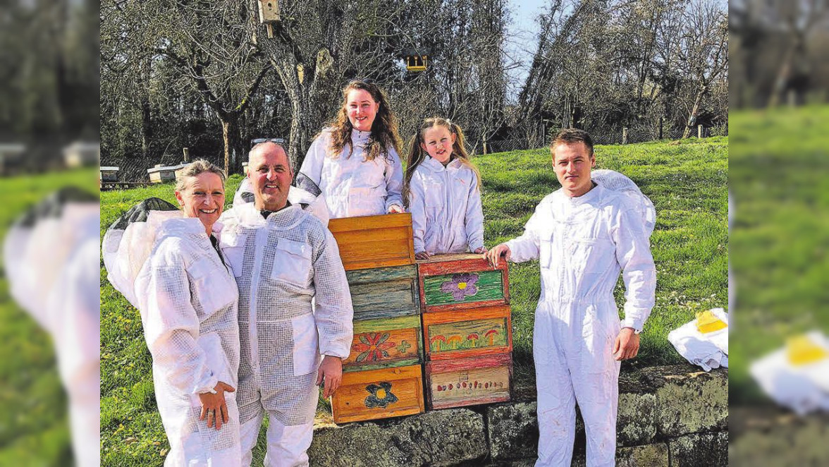 Hof Wiedenbrügge: Bienen in Wollershausen