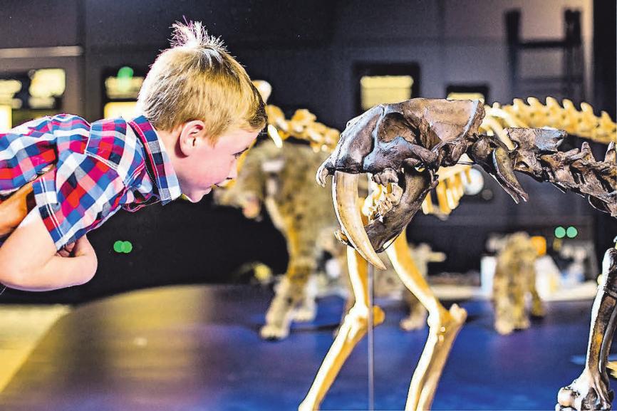 Kleiner Karibikurlaub zu Weihnachten-2