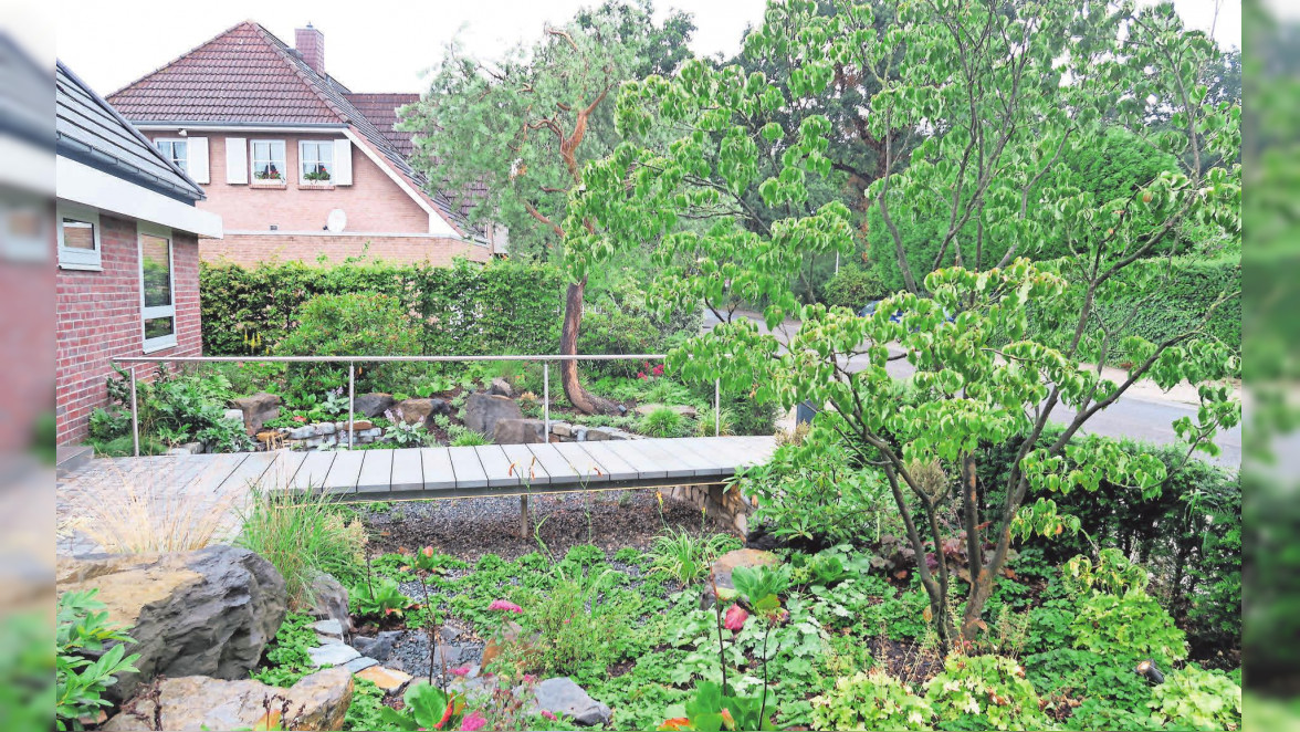 Solitärgehölze sind Höhepunkte in der Gartengestaltung, so Rüdiger Beensen aus Isernhagen