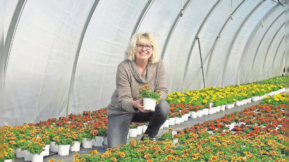 Gärtnerei Reinike bietet Vielfalt aus eigenem Anbau in Neuwarmbüchen an