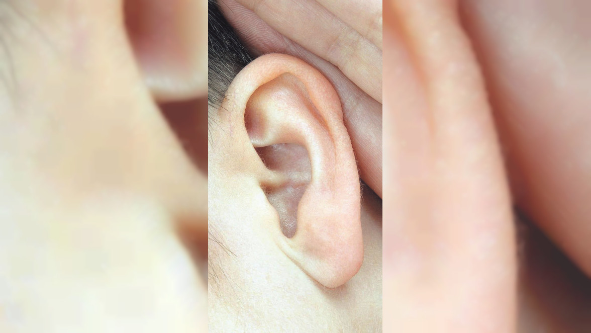 Das menschliche Ohr: Mehr als nur eine Ohrmuschel