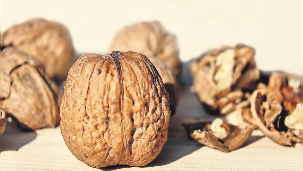TÜV SÜD gibt Tipps: So lagert man Nüsse, Kerne und Samen richtig