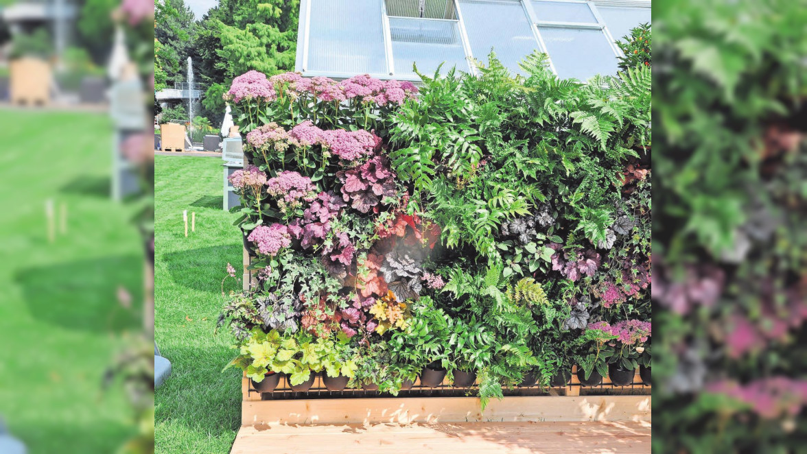 30+ Indoor Garten Garten In Der Wohnung, Durch die sogenannte