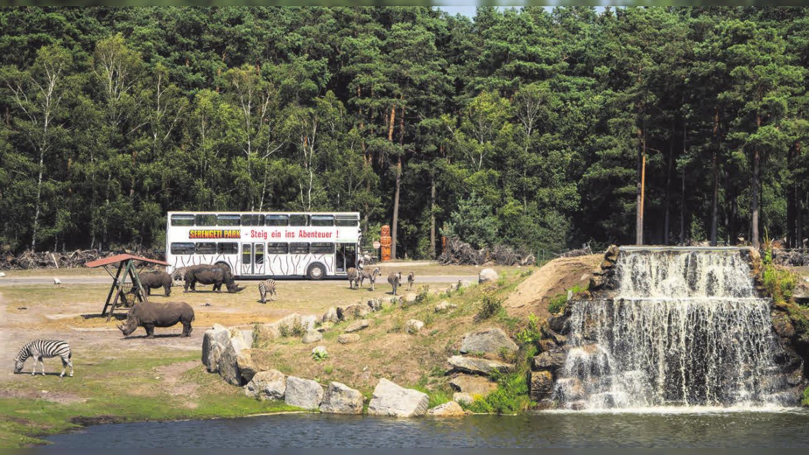 Safari Park Hodenhagen Wieso Kostet 1 Ubernacrtung 184euro www.haz.de