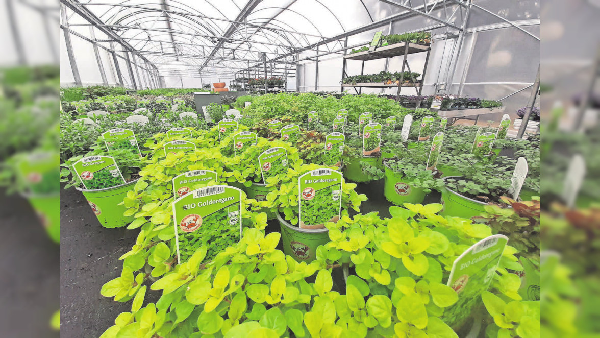 46+ Garten Pachten Isernhagen, Jetzt passende immobilie bei immonet