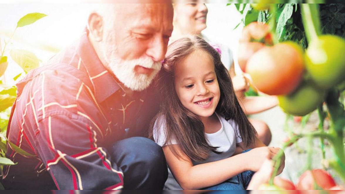 Gesund beginnt im Mund – Mahlzeit!