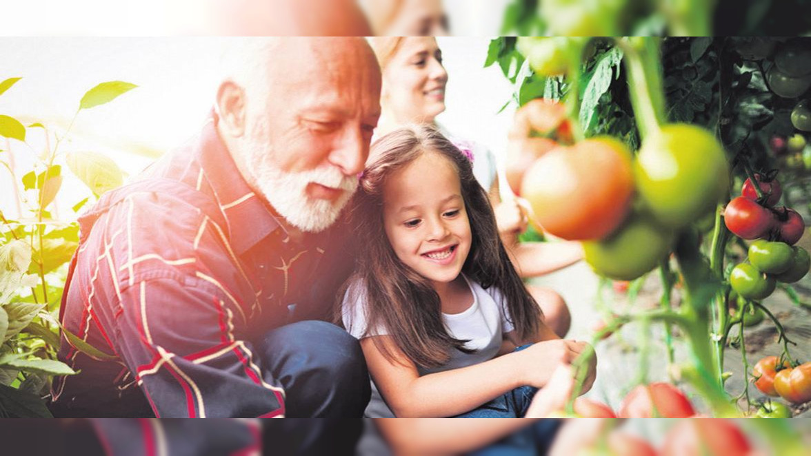 Gesund beginnt im Mund – Mahlzeit!