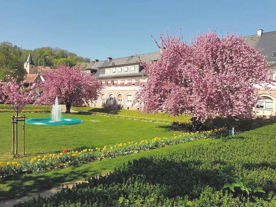 Stehen gemeinsam vor Herausforderungen-3