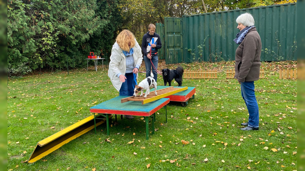 Hundesportgruppe Schönberg auf der Puck'schen Koppel im Eichkamp: Spiel und Spaß für Mensch und Tier
