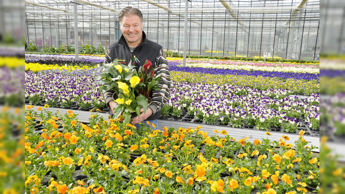 Pflanzenhof Paulwitz in Neumünster Frische Frühlingsfarben für Garten