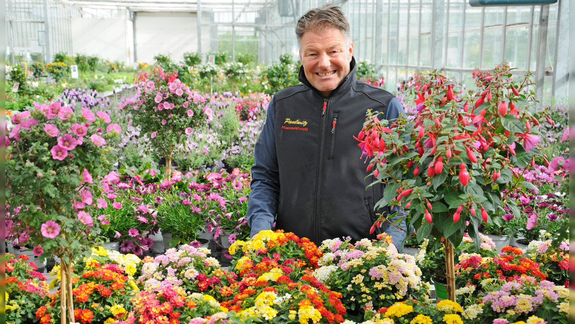 Pflanzenhof Paulwitz in Neumünster: Blütenvielfalt, die Freude macht und fachgerechte individuelle Beratung