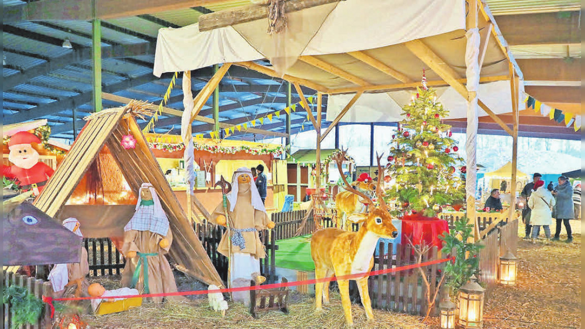 Aussteller, Feuerkörbe und Kutschfahrten: Weihnachtsmärkte im Kreis Lauenburg