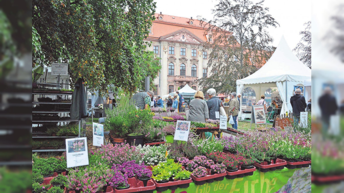 Gartenmesse LebensArt Schlosspark Brandis Kevin Holstein Leipziger