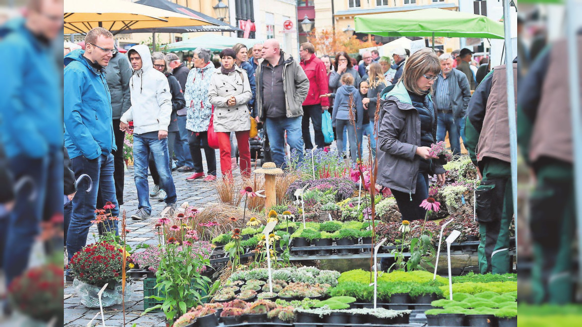 Frühling – Sommer – Spaß: Der Marktplatz blüht auf