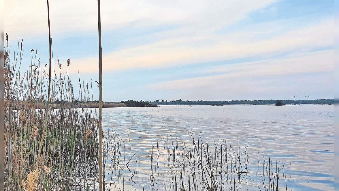 SEEN UND TEICHE Schladitzer See, Kiessee Eilenburg, Naturbad Stausee