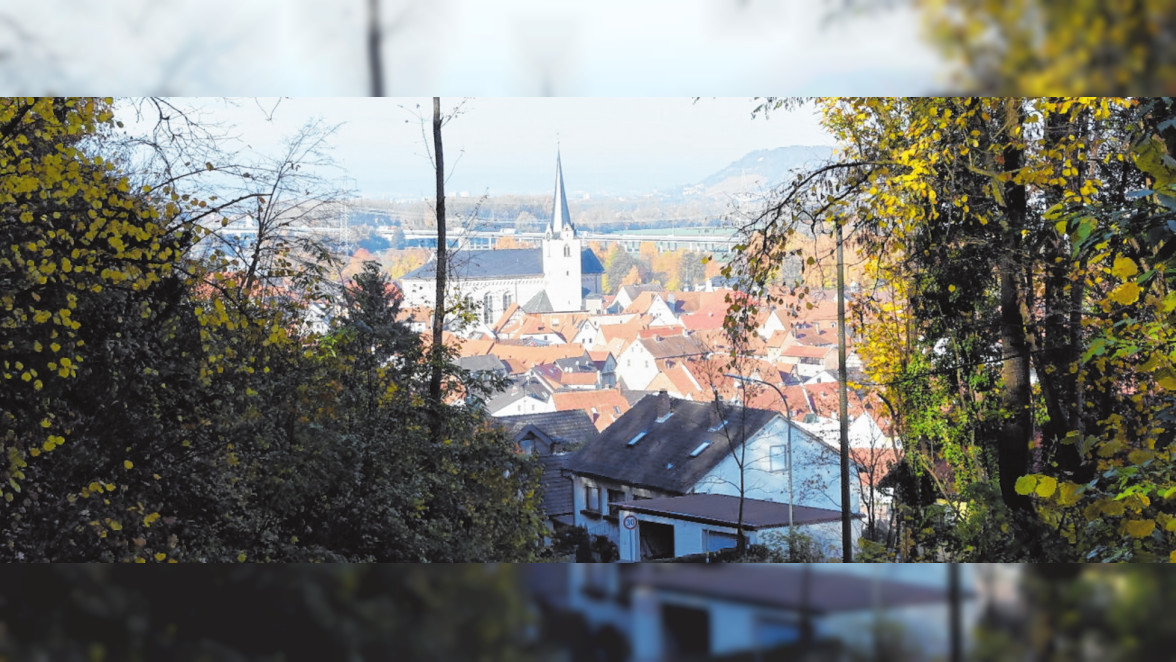 MartiniKirchweih in Eltmann vom 8. bis zum 11. November 2019 MPO