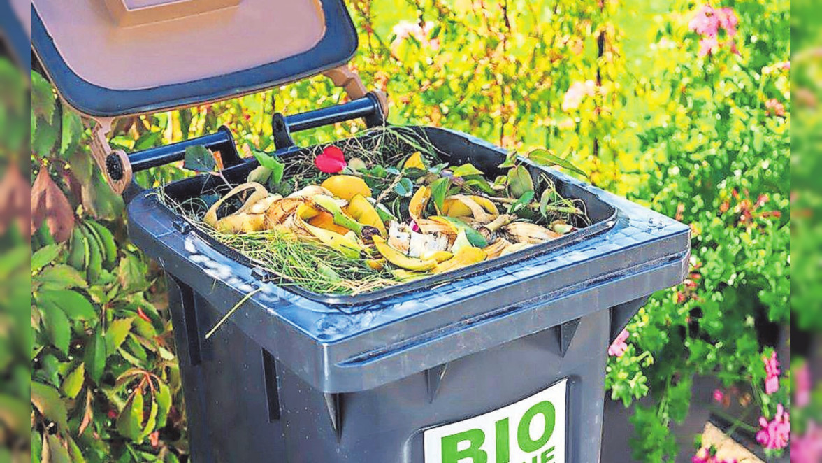 Kompost im Abfallcontainer