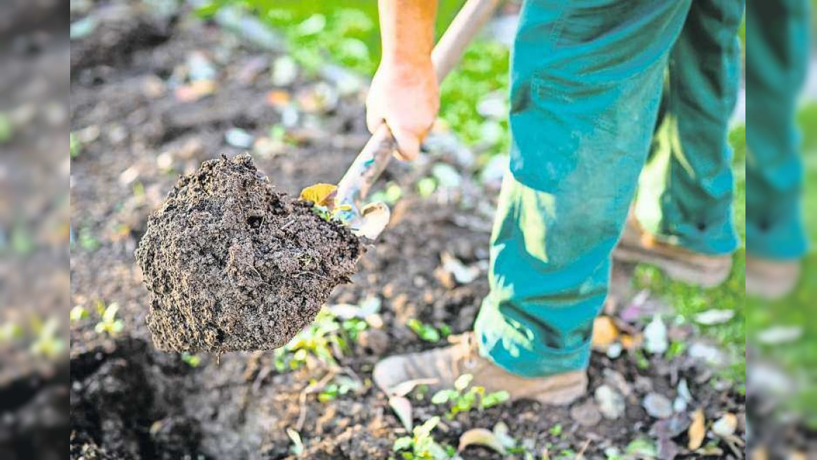 Kommunen haben Mitspracherecht bei der Gartengestaltung, so Michaela Rassat von der DAS Rechtsschutzversicherung