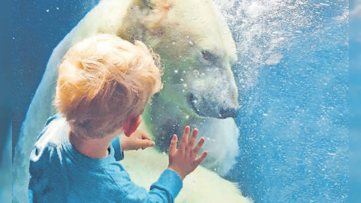 Erlebnis-Zoo: Auf Weltreise mitten in Hannover