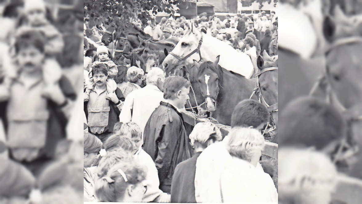 Burgdorfer Pferdemarkt: Seit über 40 Jahren ein Publikumsmagnet