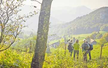 Stadt, Land, Fluss und See-5