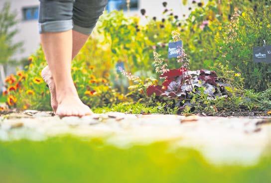 Gutschein für besondere Erlebnismomente im Aargau-5