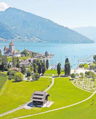 Grindelwald First – Top of Adventure-8